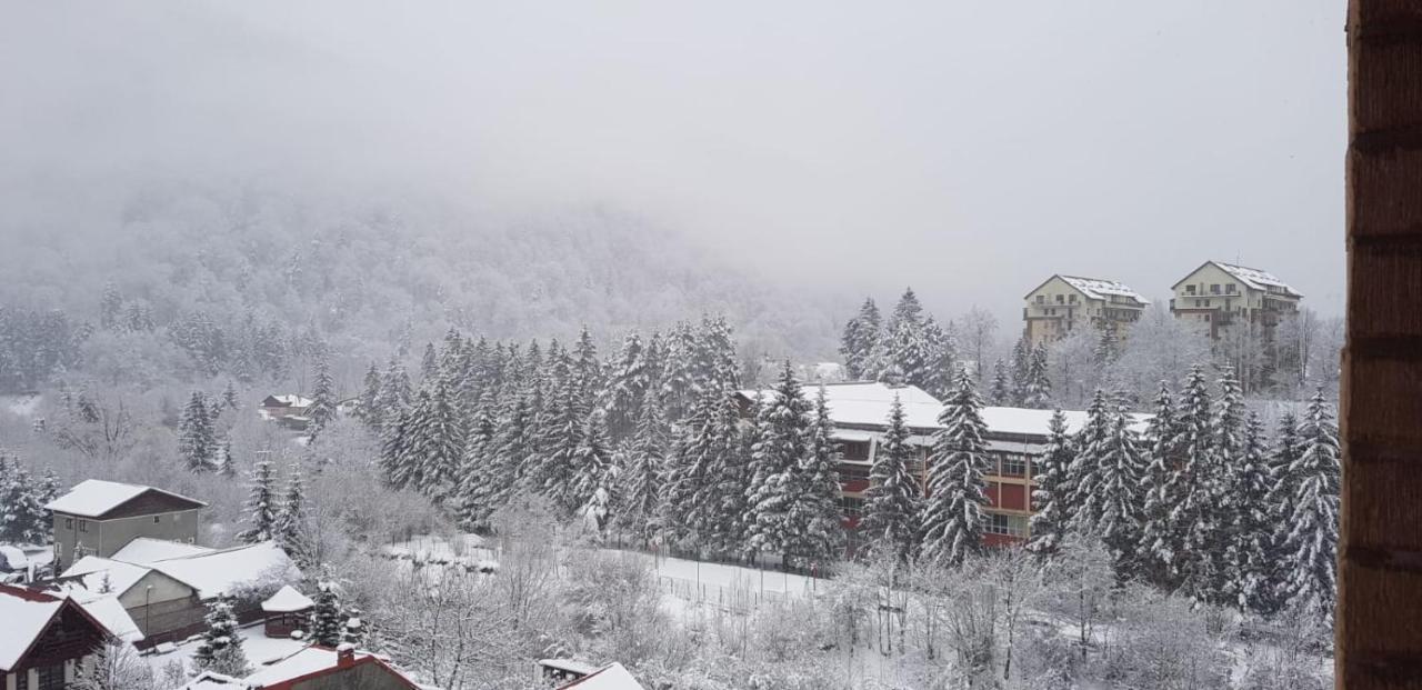 Elite Apartments Sinaia Exterior foto